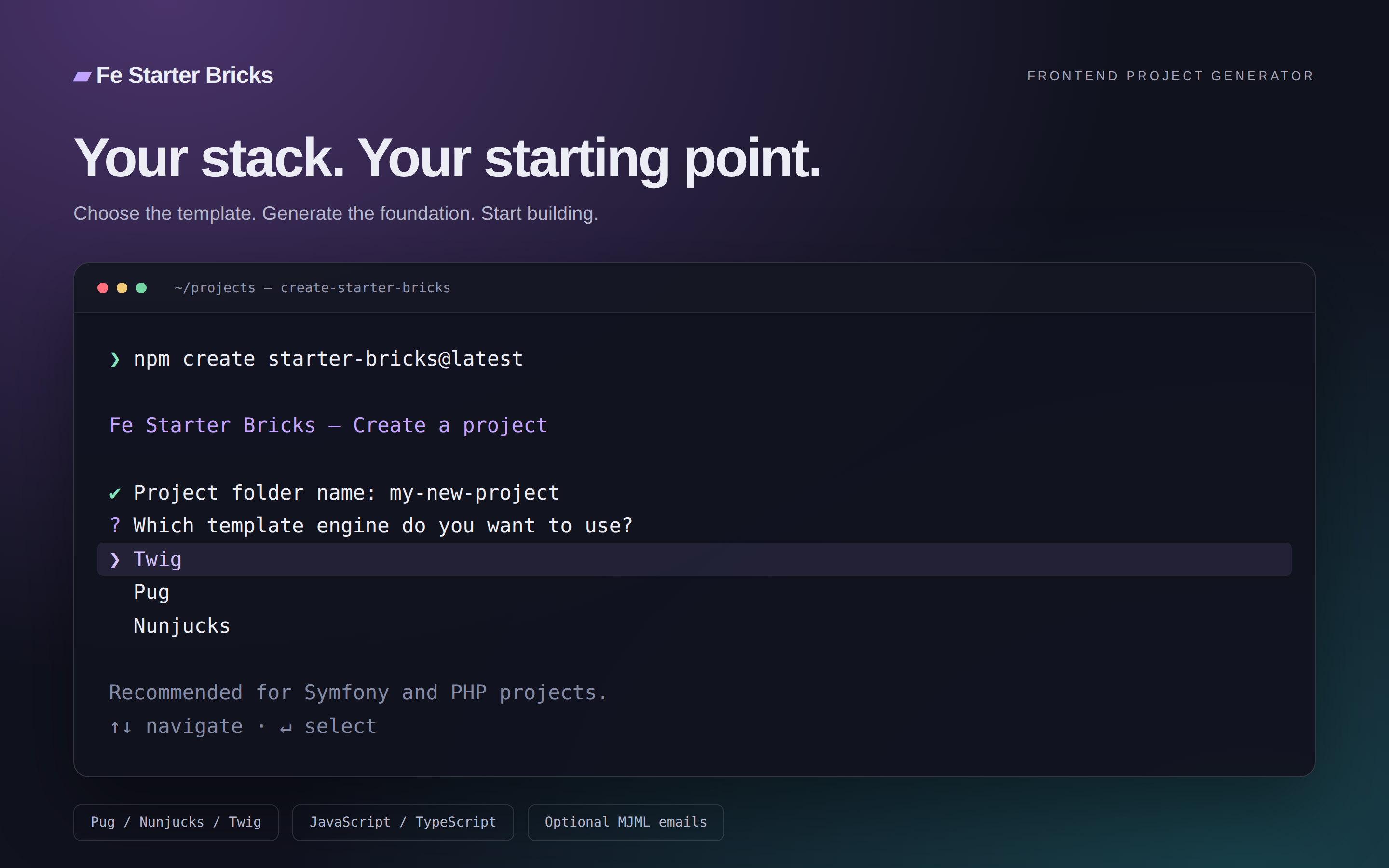 Иллюстрация выбора шаблона в CLI Fe Starter Bricks